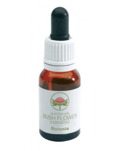 Boronia Gocce 15 Ml