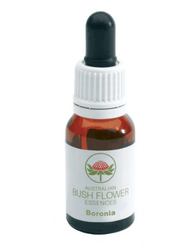 Boronia Gocce 15 Ml