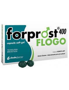 Forprost 400 Flogo...