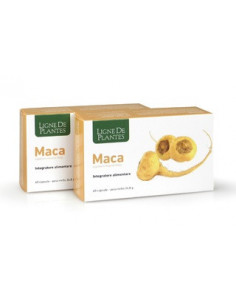 Maca 60 Capsule