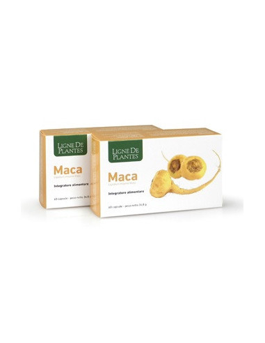 Maca 60 Capsule