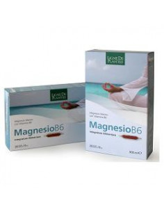 Magnesio B6 20 Ampolle...