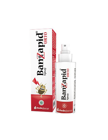 Banzapid Spray Trattamento 100 Ml