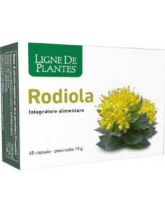 Rodiola 45 Capsule