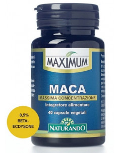 Maximum Maca 40 Capsule