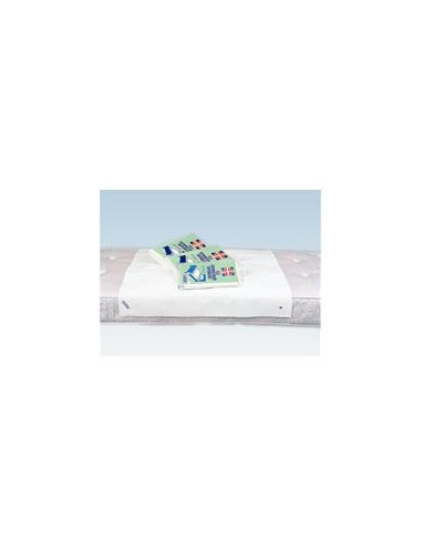 Drydorm Telo Cotone Rasato 70x90 Cm