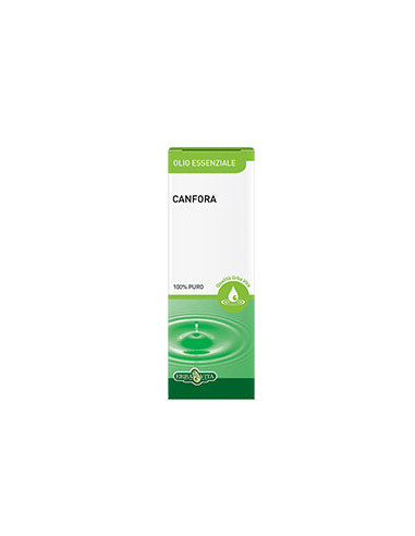 Canfora Olio Essenziale 10 Ml