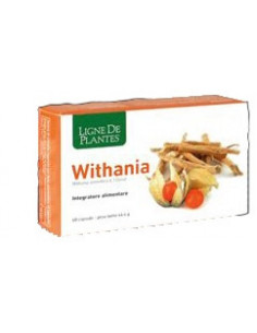 Withania 60 Capsule