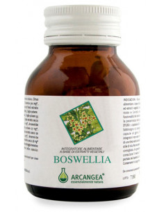 Boswellia 60 Capsule