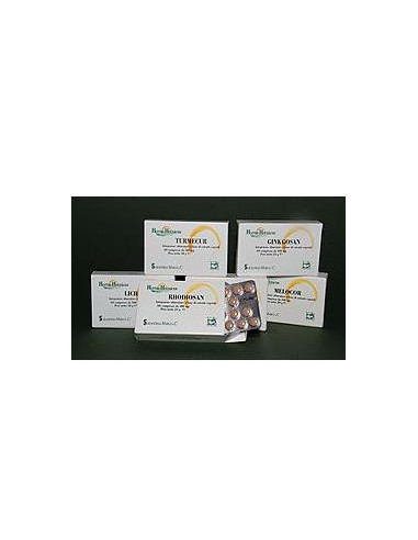 Ginkgosan 60 Compresse 400 Mg