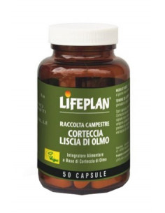 Corteccia Liscia Di Olmo 50...