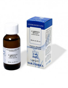 Carpinus Betulus 100 Ml...