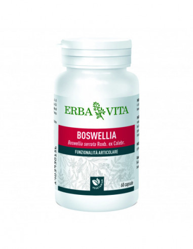 Boswellia Serrata 60 Capsule 400 Mg