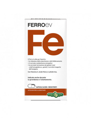FERRO EV 60 CAPSULE 500 MG