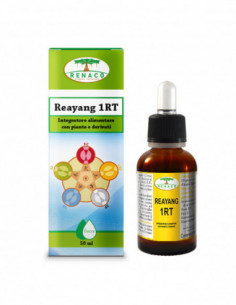 Reayang 1rt Gocce...