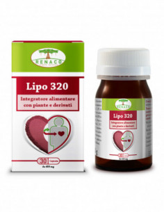 Lipo 320 30 Capsule