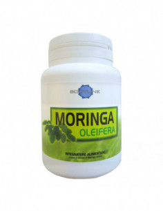 Moringa Oleifera 60 Capsule