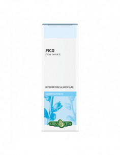 Gemmoderivato Fico 50 Ml