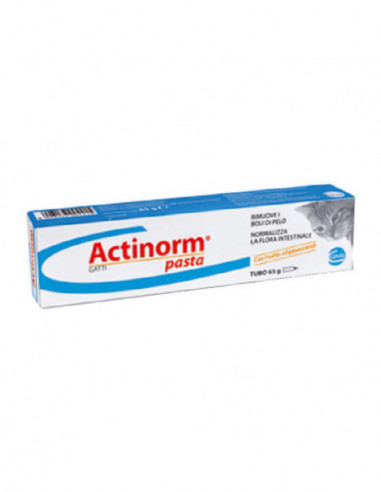 Actinorm Pasta Gatti 65 G
