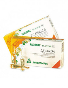 Fisiosol 13 Mg 20f 2ml