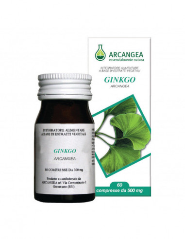 Ginkgo Biloba 60 Capsule 500 Mg