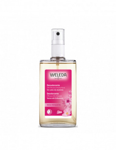 Deodorante Rosa Mosqueta 100 Ml - Weleda Italia Srl