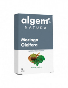 Moringa Oleifera 30 Capsule