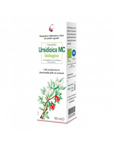 CAIRA URSIDIOICA MACERATO...