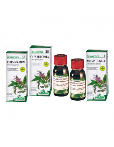 Gemmosol 36 Ribes Nero 50ml - Specchiasol Srl