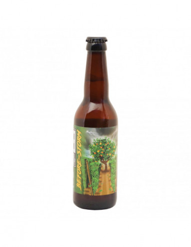 RADICAL BREWERY BEFORE THE STORM 330 ML