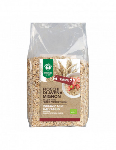 Easy To Go Fiocchi Di Avena Mignon 500 G