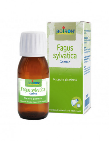 Fagus Sylvatica Macerato Glicerico 60 Ml Int - Boiron Srl