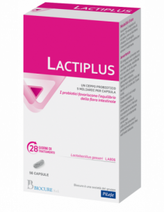 Lactiplus 56 Capsule