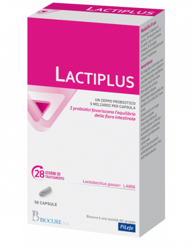 Lactiplus 56 Capsule