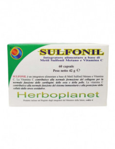 Sulfonil 60 Capsule