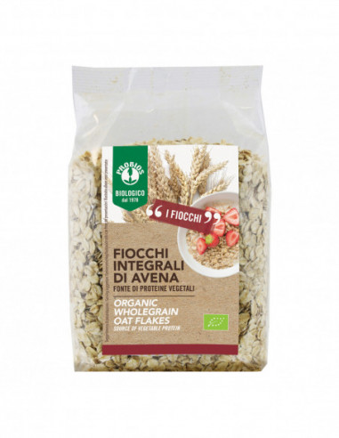 Fio Fiocchi Di Avena 500 G