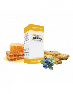 Enervis 30 Ml Gocce Vis