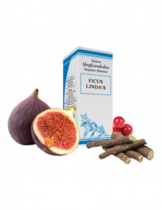 Ficus Lindas Gocce 50 Ml