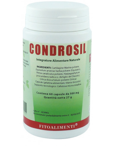 Condrosil 60 Capsule