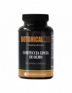 Corteccia Liscia Olmo...