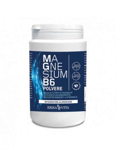Magnesium B6 Polvere 200 G