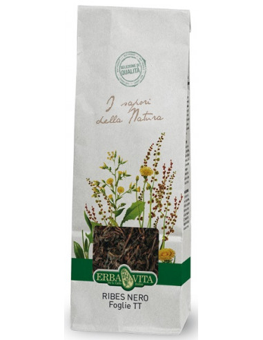 Ribes Nero Foglie 100 G