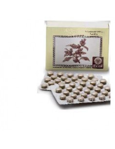 Salice 50 Tavolette 805