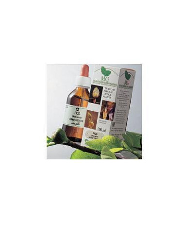 Rosa Canina Macerato Glicerico 100 Ml