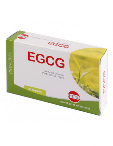 Egcg The Verde 30 Capsule Nuova Formula