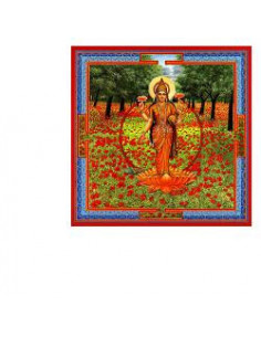 Triphaurum Gocce 30 Ml