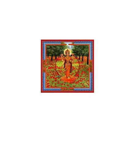 Triphaurum Gocce 30 Ml