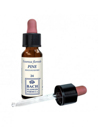 Pine Original Gocce 10 Ml