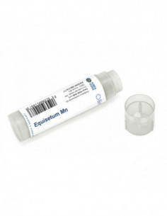 Equisetum Mn 100 Globuli