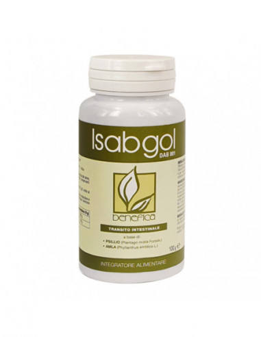DAB 001 ISABGOL 100 G